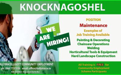 (Community Employment) vacancy now available